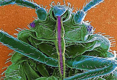 传闻：《银河战士Prime2》重制版即将发布